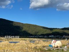 -腾冲北海湿地