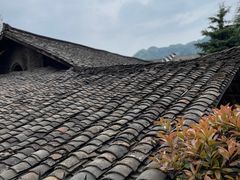 -后柳水乡