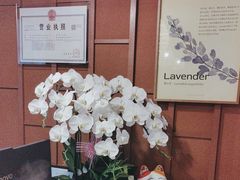 -LANN I 蘭·泰式古法按摩(高岛屋百货店)