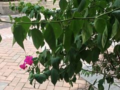 -溪畔•新徽菜(碧湖云溪店)