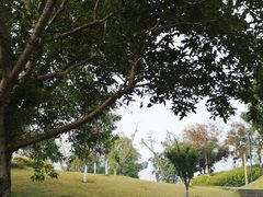 -古宇湖风景名胜区