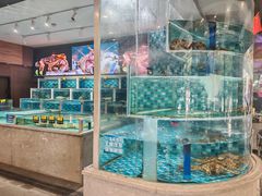 -赢融印象•龙泉店•清真云南菜•民族菜(小菜园店)