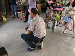 -马陆小张葡萄园农家乐