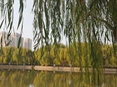 -南翠屏公园
