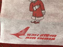 -英迪拉·甘地国际机场