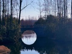 -溱湖国家湿地公园