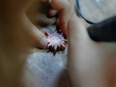 -五月木作·DIY木作文创体验店(北京路店)