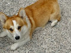 -肥朵食堂(带梦胡同店)