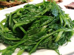 清炒豌豆尖-渝信川菜(工体店)