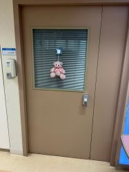 -杭州贝瑞斯美华妇儿医院·早孕·产检·儿科