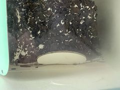 -红叶蛋糕(广达路总店)