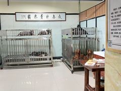 -欧亚汇集(飞跃路店)