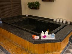 -春晖园度假酒店温泉