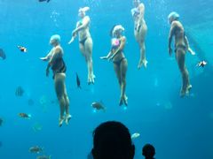 -瑞德姆美人鱼海底演艺主题餐厅(亚龙湾店)
