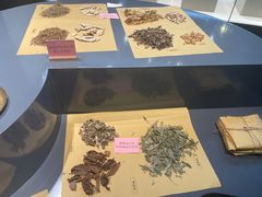 -广东中医药博物馆