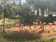 -无锡动物园·太湖欢乐园