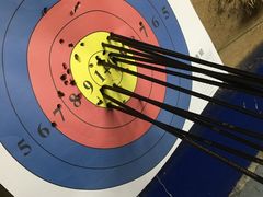 -道顺射箭·团建·骑射(张杨路店)