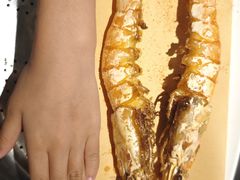 -1937青岛老味道·海肠捞饭·青岛菜(大鲍岛栈桥店)