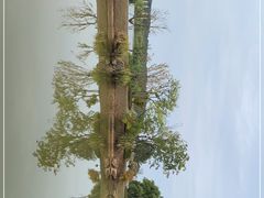 -池州市平天湖风景区