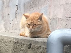 -大钟寺古钟博物馆