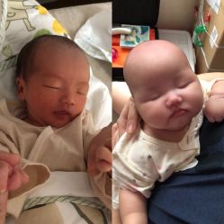 -中国福利会国际和平妇幼保健院(徐汇院区)