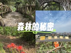 -青龙山国家森林公园