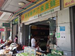 -长寿村