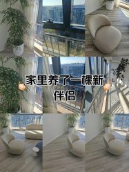 -HEYAN荷妍专业脱毛连锁机构