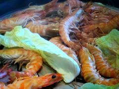 -日进一片海.生腌海鲜火锅.宵夜烧烤(三里屯总店)