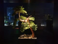 -晓长安·新陕菜(曲江店)