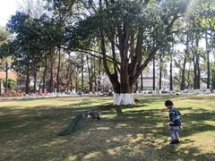 -西昌邛海宾馆