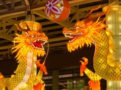 -武汉园博园(武汉自然博物馆)