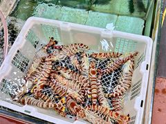 -寻味顺德·南记酒家·传统顺德菜·鱼生(广源路店)