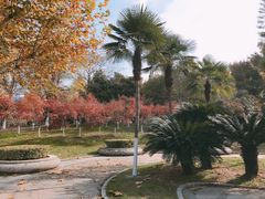 -后襄河公园