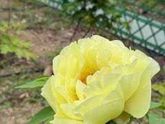 -太阳宫公园