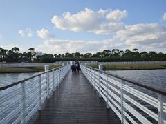 -春花秋色城市公园