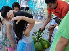 -三亚湾海居铂尔曼度假酒店