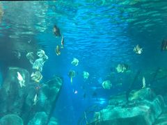 -福州罗源湾海洋世界旅游区