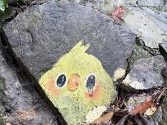 -千岛湖东南湖区