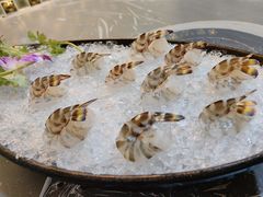 -富来美食