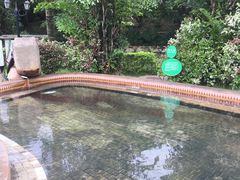 -汕头莲花山度假村温泉