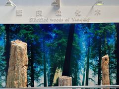 -延庆地质公园博物馆