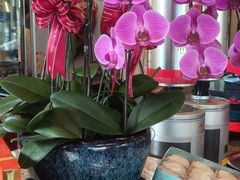 -西点坊(浦东香格里拉店)