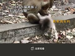 -昆明动物园