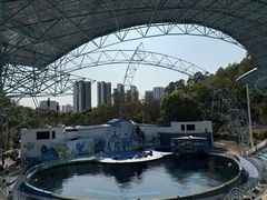 -深圳野生动物园