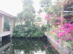-郫都区农科村景区