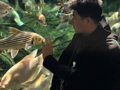-哈尔滨波塞冬海底世界