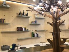 -飞行喵MR PILOT|猫舍·猫咖(静安大融城店)
