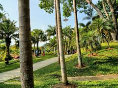 -深圳仙湖植物园