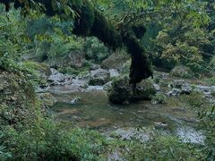 -龙苍沟森林公园